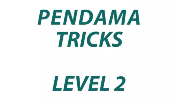 Pendama Level 2
