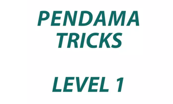Pendama Level 1